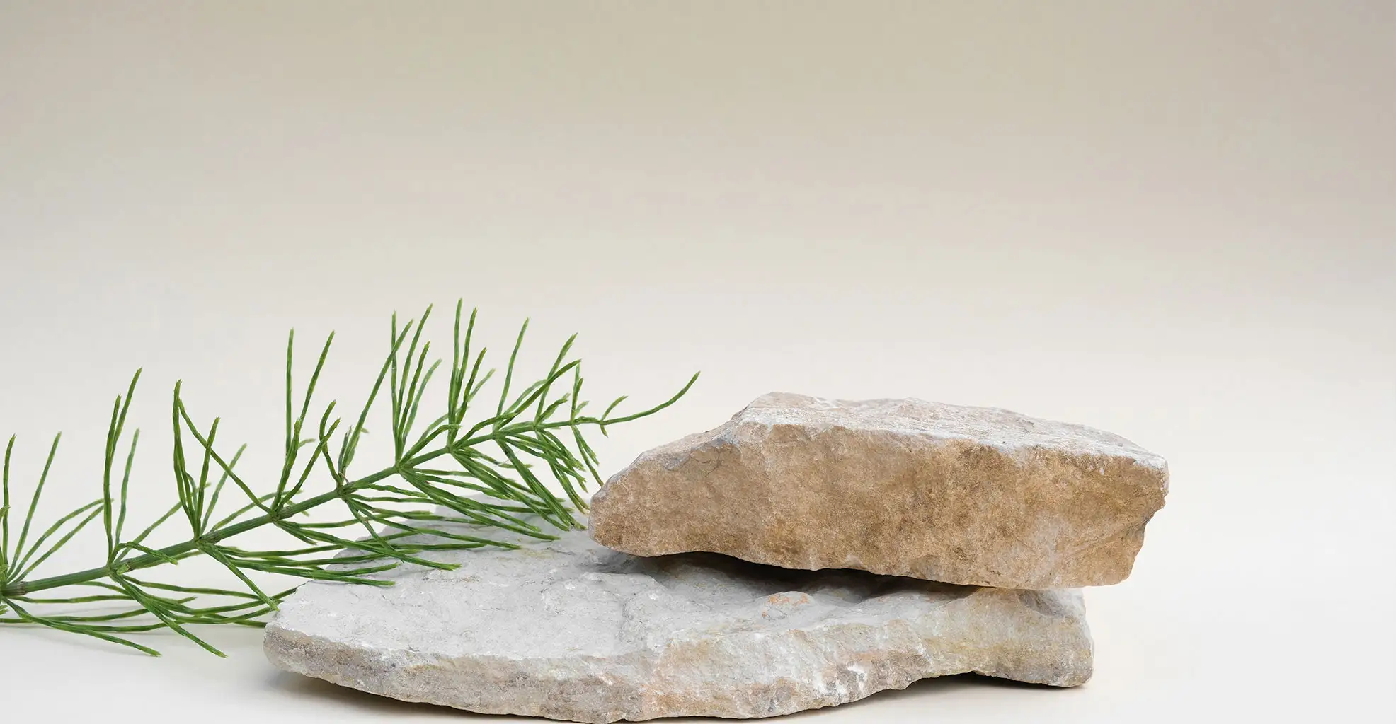 background-decleor-alice-kosmetik